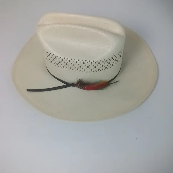 Rare Collectible 1999 Stetson Hat Vintage US Forest Service Dress Hat Perfect